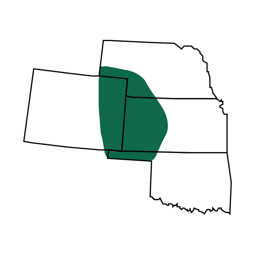 Sheridan plainsgold